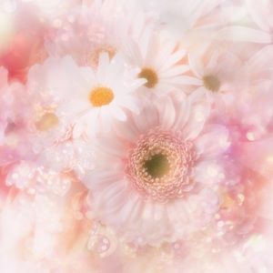 Meet your Posher, Grecia